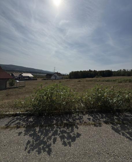 Teren Curtea de Arges - 2