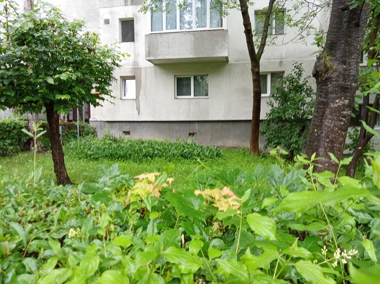 Apartament cu CF,direct de la proprietar - 1