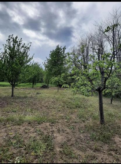 Teren de 2200 mp, în Romos