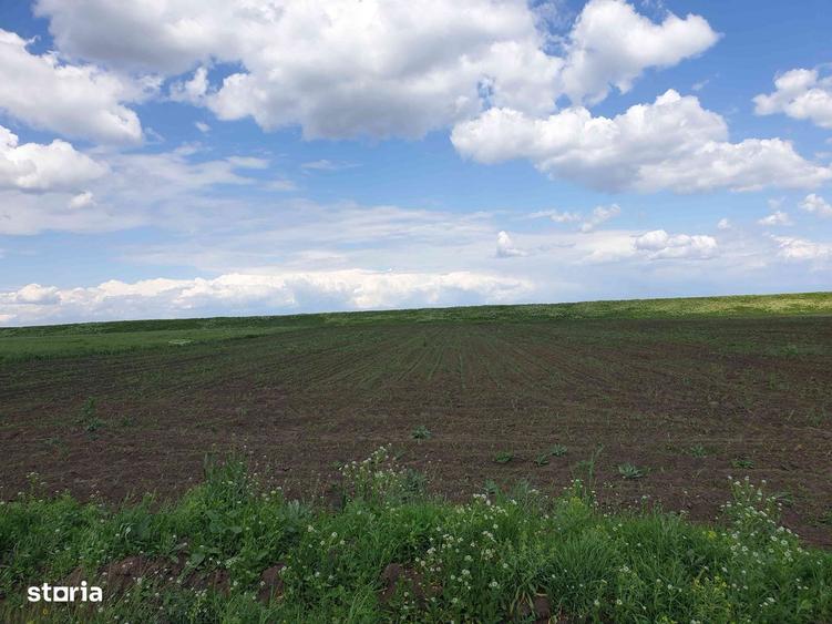 Teren intravilan cu nr stradal - 1