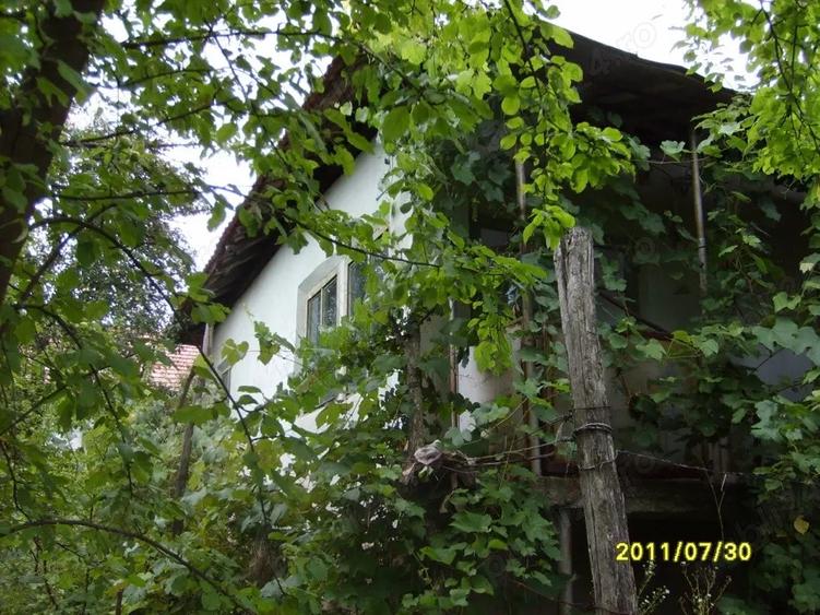 Vand casa in Bala de Jos - 5