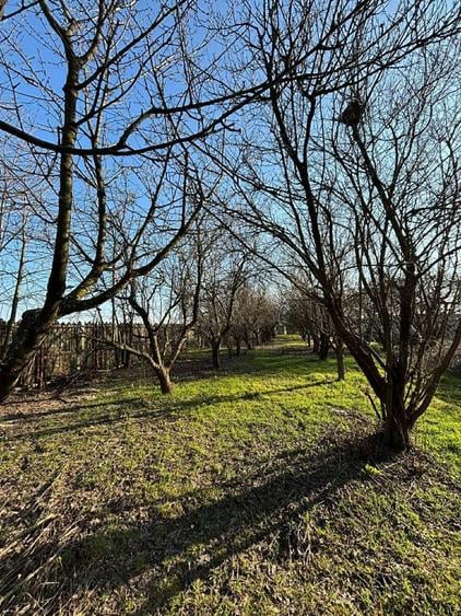 Vand casa sat Jiul comuna Tuglui 32.000 euro si 1 teren separat la 13.500 euro - 7
