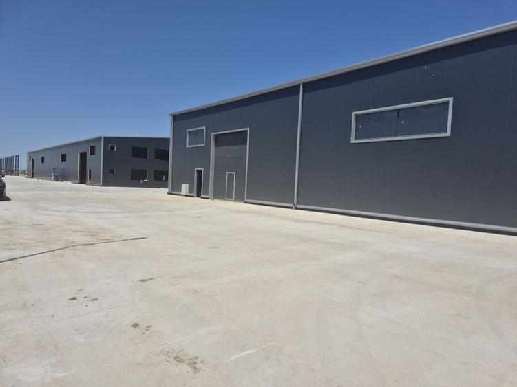 Parc Logistic Nou 2025 - Hale de Vanzare de 600 mp &icirc;n Chitila-Rudeni - 3