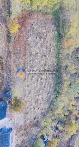 Teren de vanzare 11.766 mp – Costisa, judetul Neamt