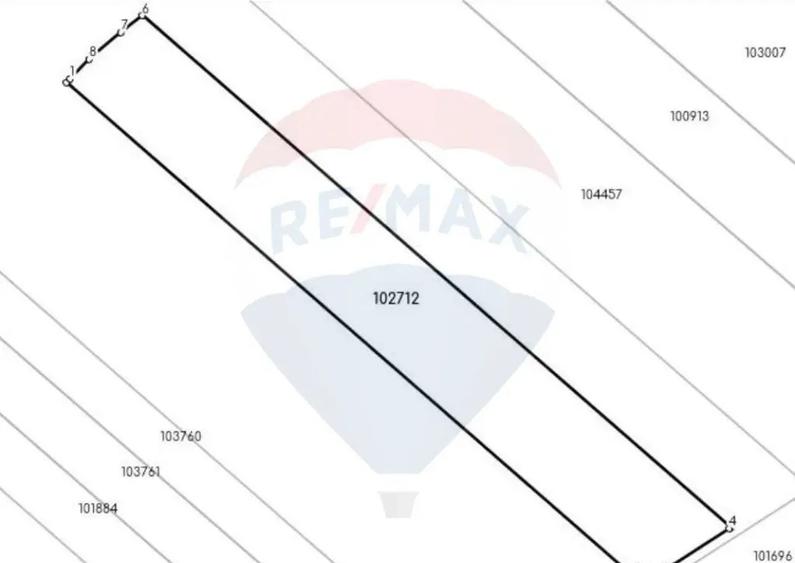 Teren de vanzare Halchiu 80.000 MP - 5