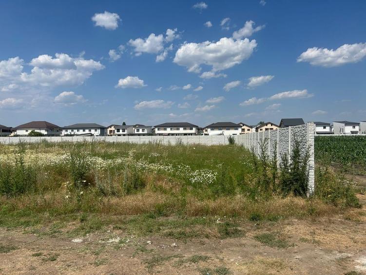 Teren de vanzare  Bragadiru Ilfov - 11