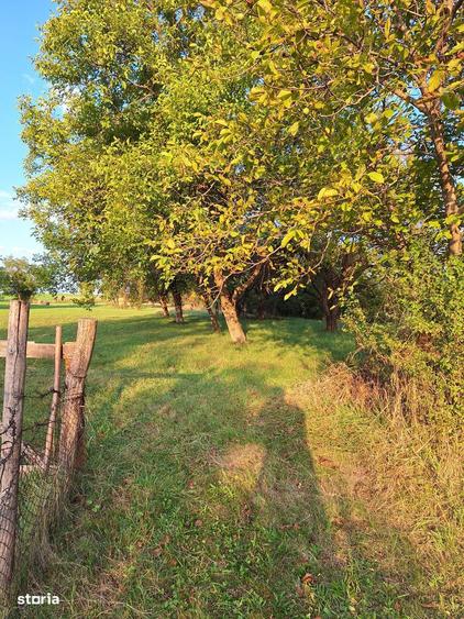 Teren cu casa si anexe - centru comuna, acte in regula - 7