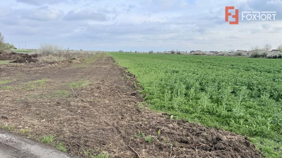 Parcela de teren intravilan de vanzare, 502 mp - Sacalaz - 2