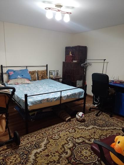 Casa de vânzare în comuna Romanu - 11