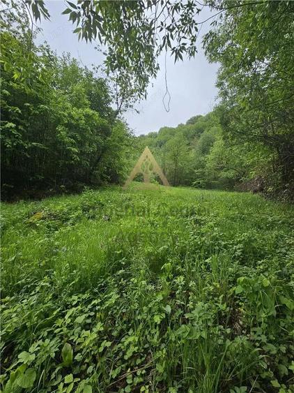 TEREN PENTRU BUSSINESS 2842 MP DE VANZARE IN STATIUNEA TARGU OCNA - 7