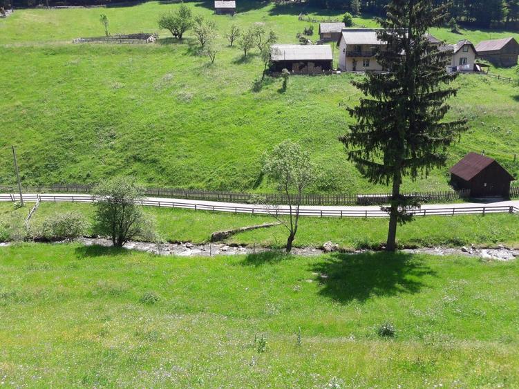 Teren de 4890 mp, în Moieciu