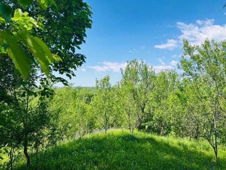 Teren intravilan de 4384 mp, în Talea