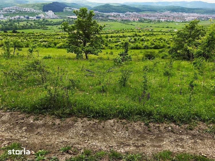 Teren vanzare Centura Donath Nord, 2900 mp - 11
