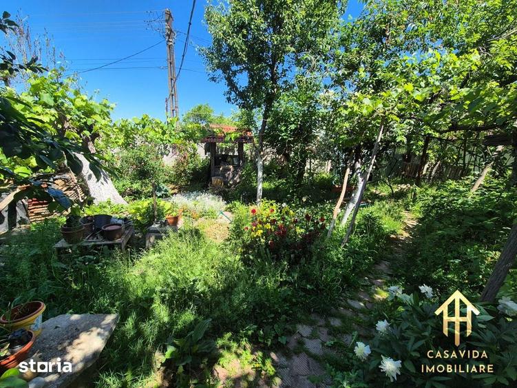 Casa P+1 de vanzare in Sinersig, jud. Timis - 5
