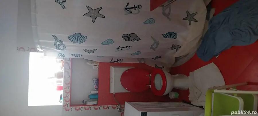 Vand urgent casa in comuna Seleu?.Pret.80000 euro Negociabil - 4