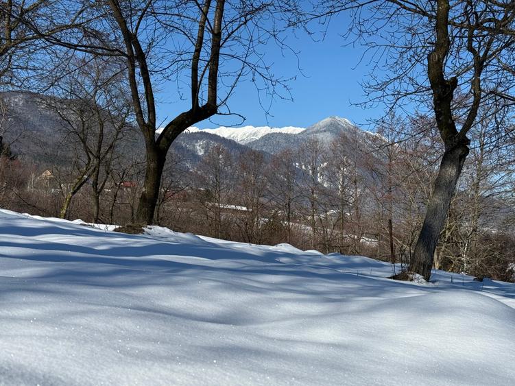 Teren intravilan 763 mp in zona Bran-Tohanita,judetul Brasov - 3