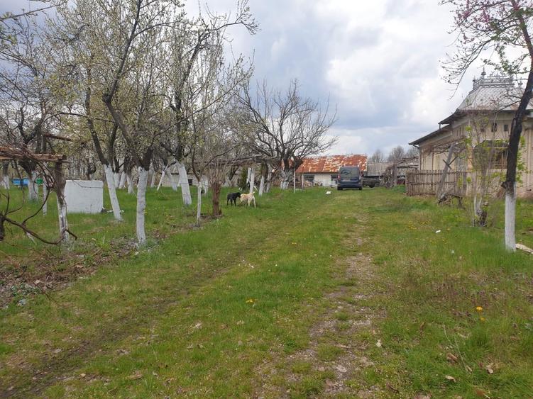 Vand teren cu potential - 4