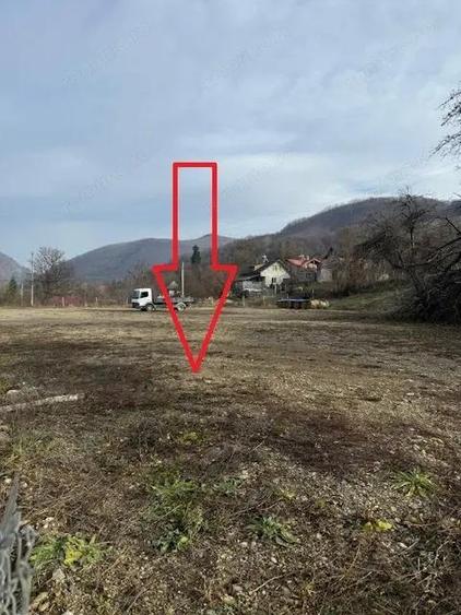 Teren de vanzare 2.631 mp, Slanic Moldova - Ciresoaia, Bacau - 11