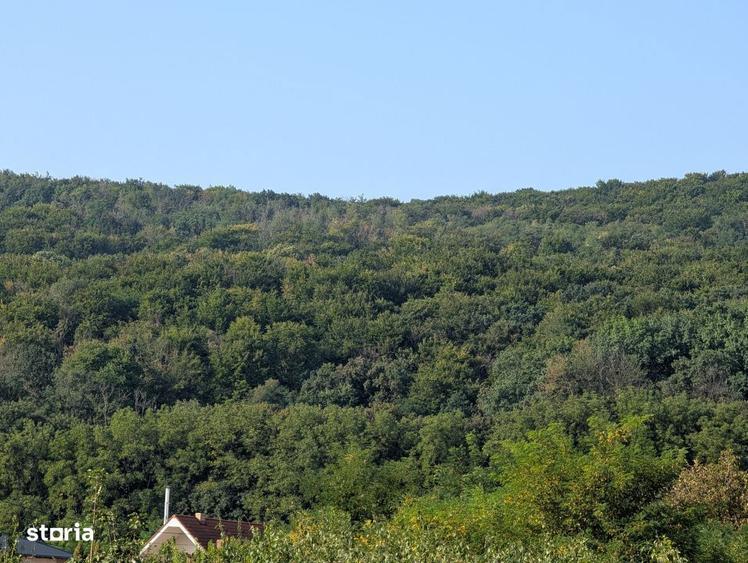 Teren intravilan Hemeius - langa padure - 2