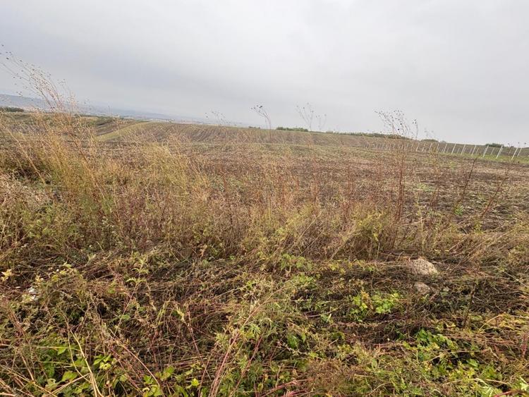 35euro/mp! Valea Lupului! Teren intravilan,28m l,oportunitate investitie! - 1