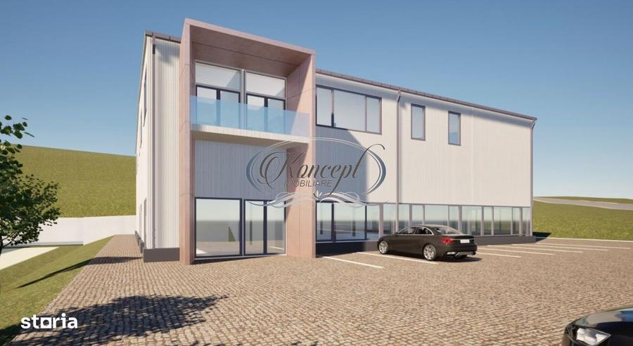 Teren industrial cu autorizatie hala, Valea Chintaului - 7