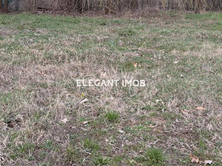 Teren unicat in Paradisul Verde - 2