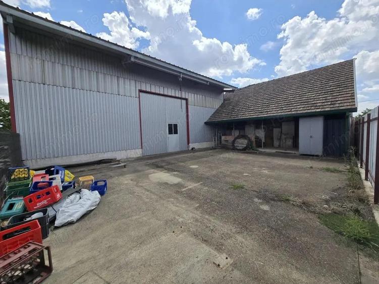 Casa cu hala ?i anexe Poten?ial pentru locuin?a ?i afacere Biled - 9