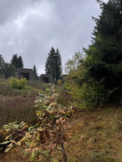 Teren Intravilan, 4629 mp, Certificat Urbanism, potential de crestere valorica, - 1