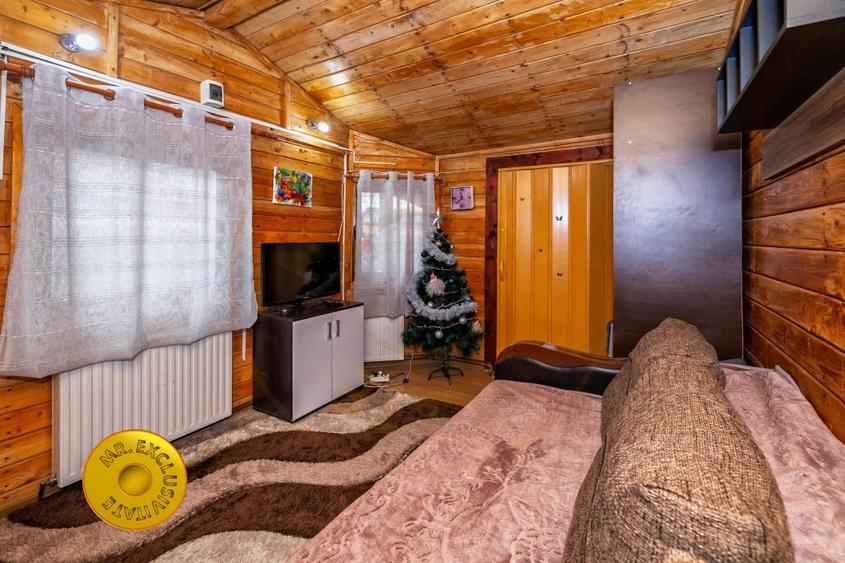 Doua case in aceeasi curte Pitesti, Strada Turcesti - 2