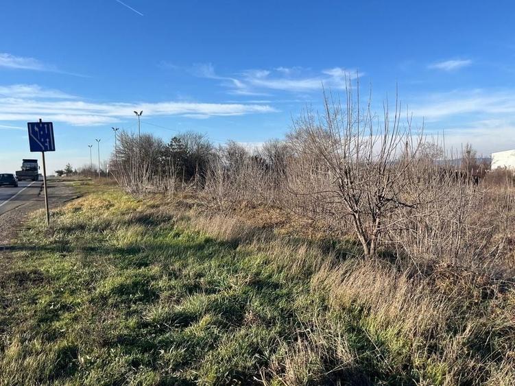 Teren intravilan, Săcădat, 27 921 mp. 9,5 Euro/mp. Comision 0. - 5