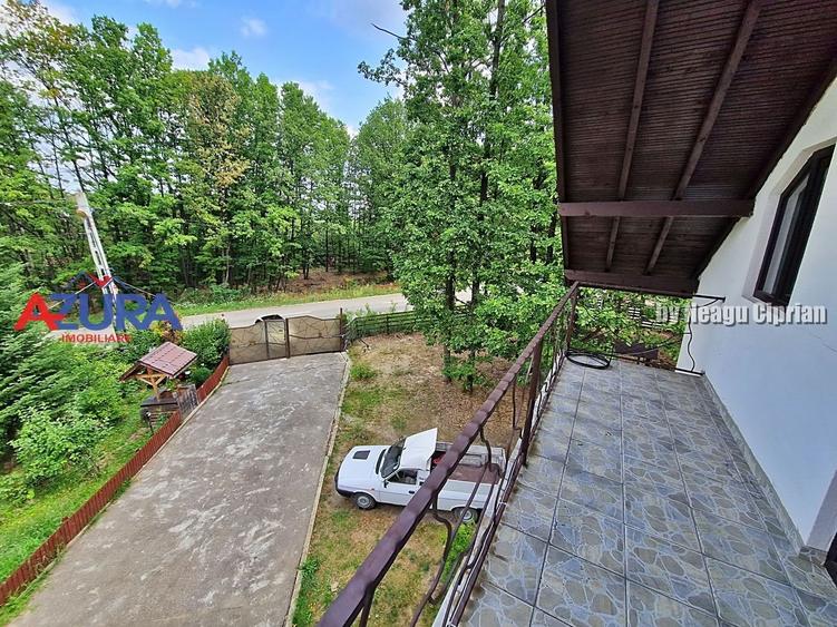 Casă de vacanță în pădure, 10 km de Pitești - Babana - 9