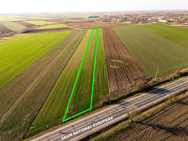 RECO teren 5000mp cu deschidere la DN19 Tamaseu - 1