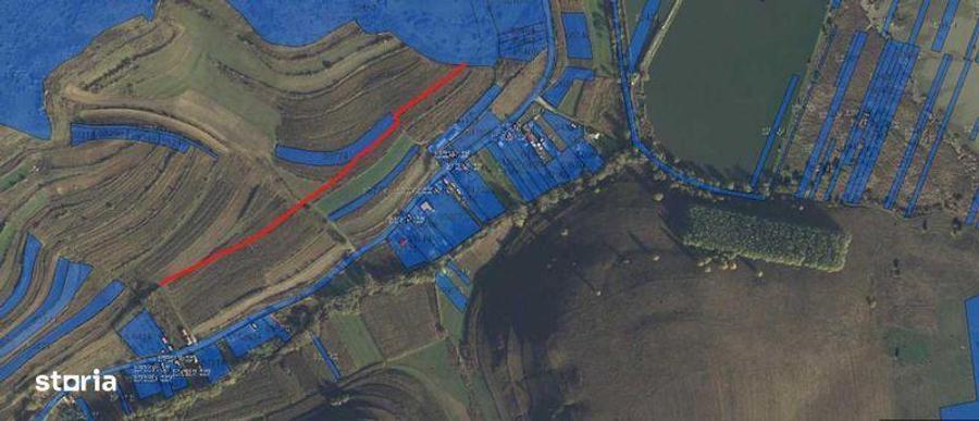 Vand teren extravilan Filea de Jos 4900 mp, langa intravilan - 2