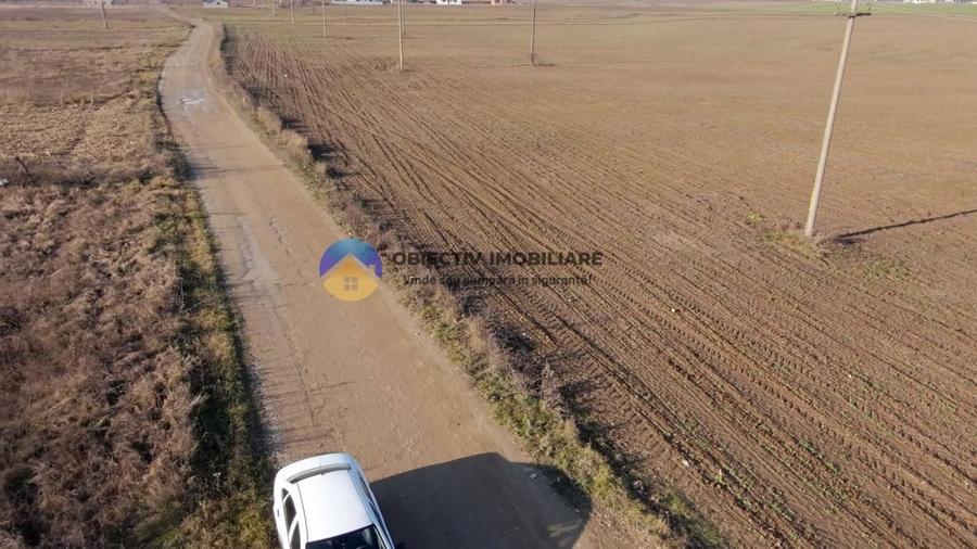 Teren investitie intravilan 3600 mp – Dumbrava Rosie - 5