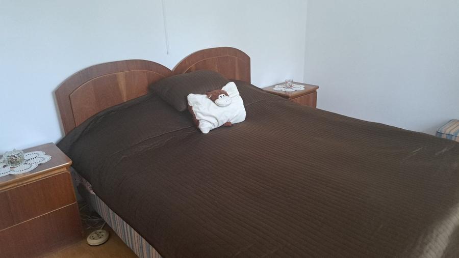 Vila compusa din P+M situata in zona Abator - 6