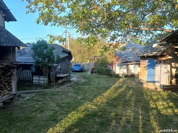 A 13. 20000 mp teren ?i 3 constructii casa in judetul Bacau - 6