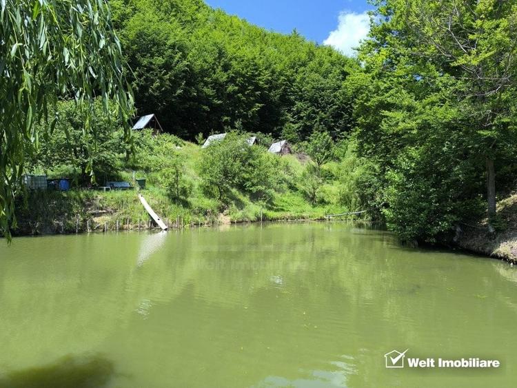 Casa de vacanta, cu lac, 5640 mp teren, Huta, com. Chiuiesti, jud. Cluj - 14