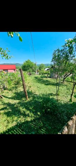 Gospodarie plus terenuri de vânzare  - 4