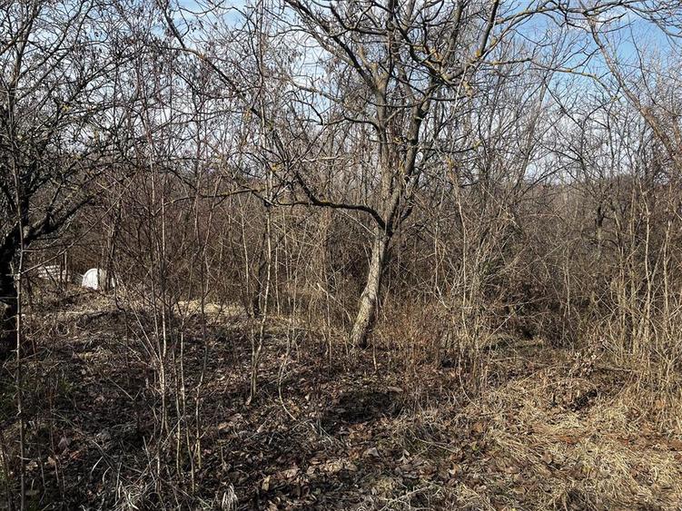 Teren de vânzare în Seciu, Prahova – 1.746 m², cu utilitati si constru - 7