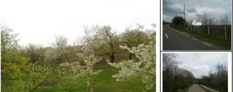 Teren extravilan livada cota parte 1/2 Candesti ID: R1965236 - 8