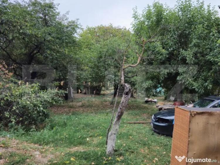 Teren extravilan 17524 mp, expunere sudica, Viforata - 9