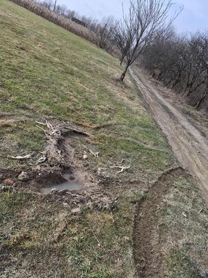 Teren premium intravilan Dealul Gro?ilor, Baia Mare - 3