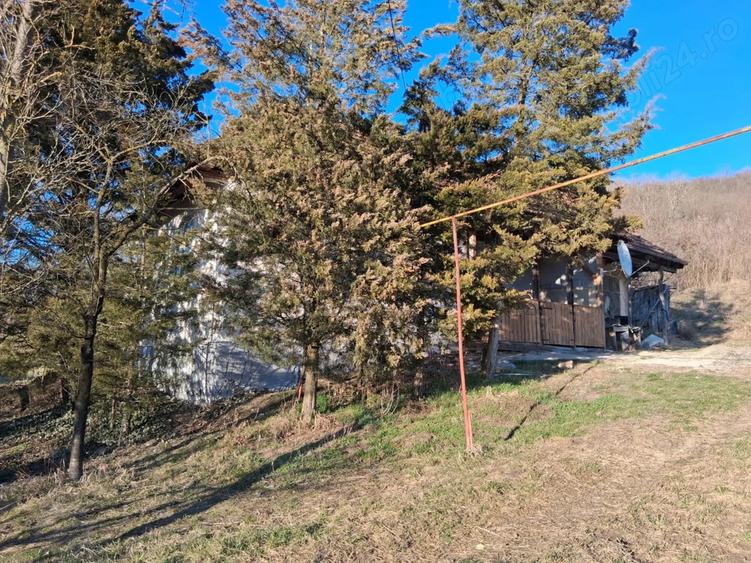 De inchiriat casa in Sabed - 1