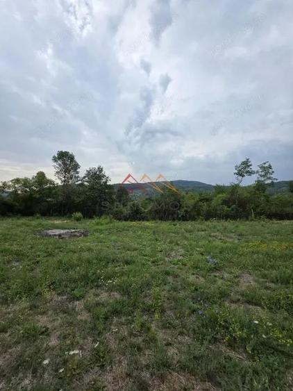 Teren Intravilan, utilitati in zona, 2600 mp, Draganeasa, Prahova - 1