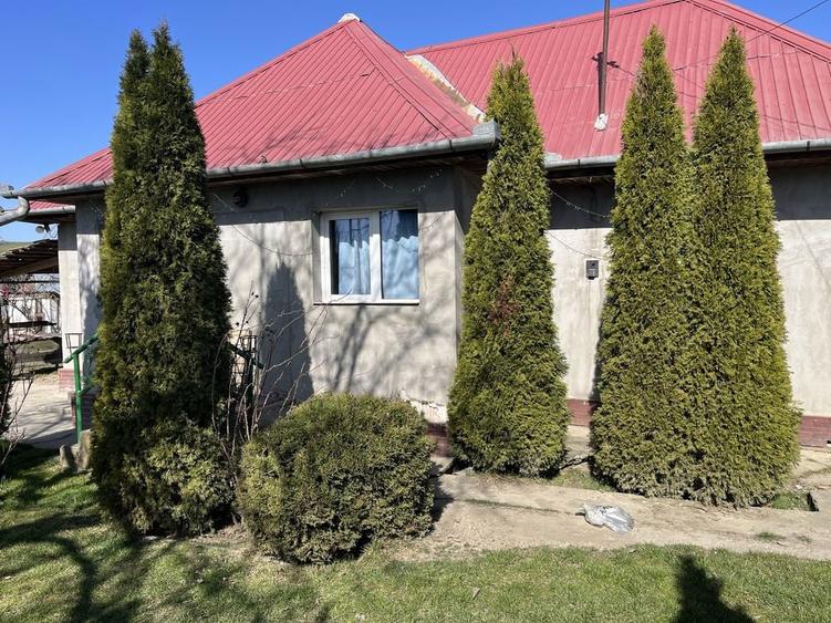 De vanzare: Casa la tara in Sardu Nirajului - 2