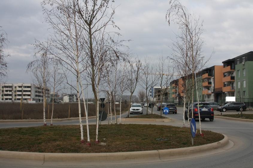 Theodor Pallady teren 720mp - 2