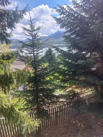 Casa de vacanta Colibita - 10