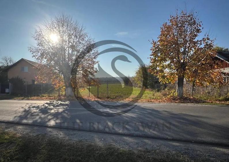 Teren intravilan de vanzare | 12.650 mp | Ghirdoveni, | C... - 3
