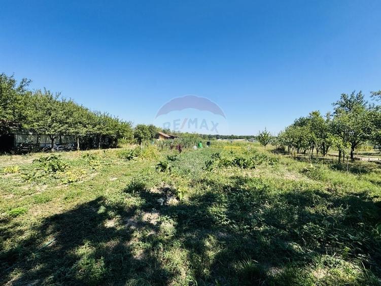 Teren 6,210mp Apateu / Strada Principala - 21