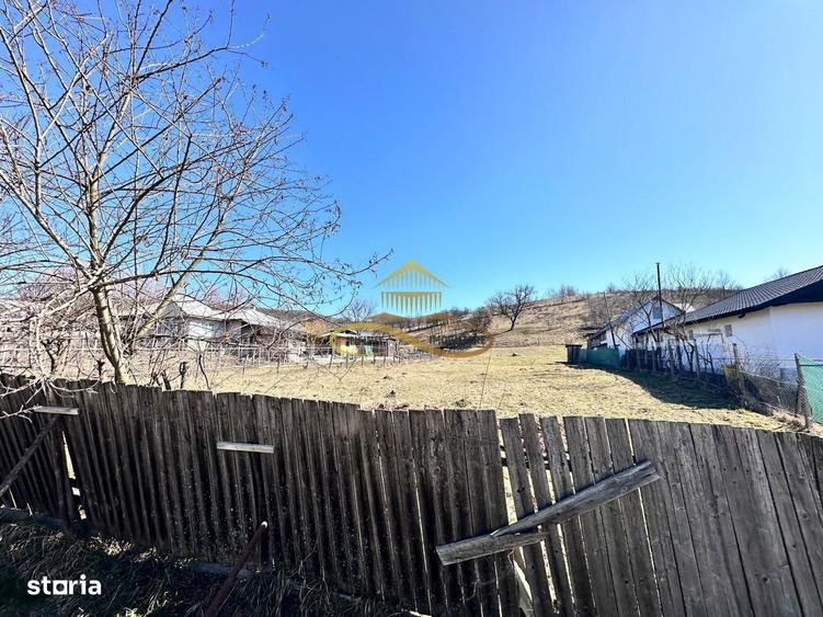 Teren Intravilan Luncani Bacau - 2